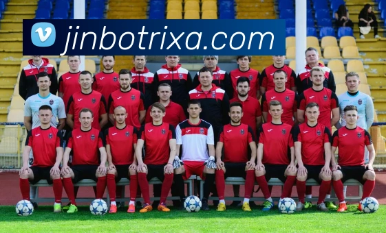 金博体育平台生态图